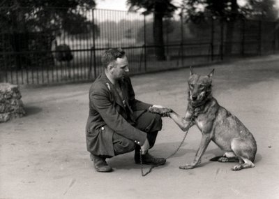Guardiano Leslie Martin Flewin con Peter, un lupo addomesticato da Frederick William Bond